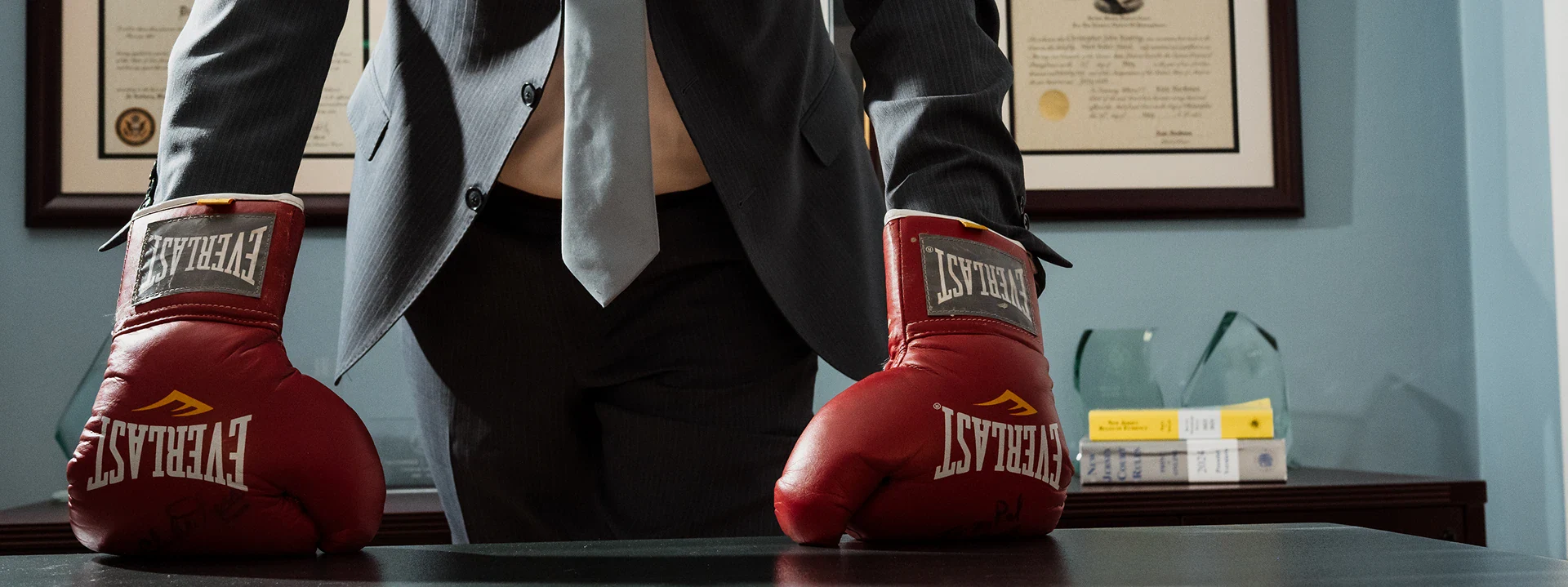 Everlast boxing gloves